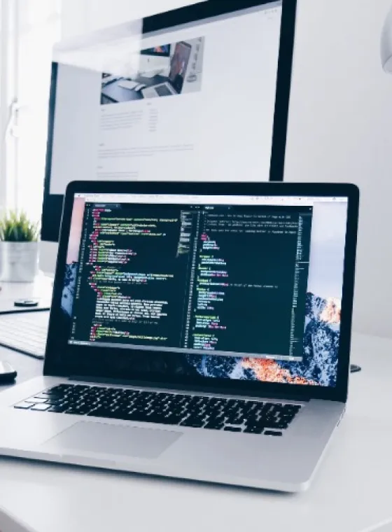 Business Service Coaching